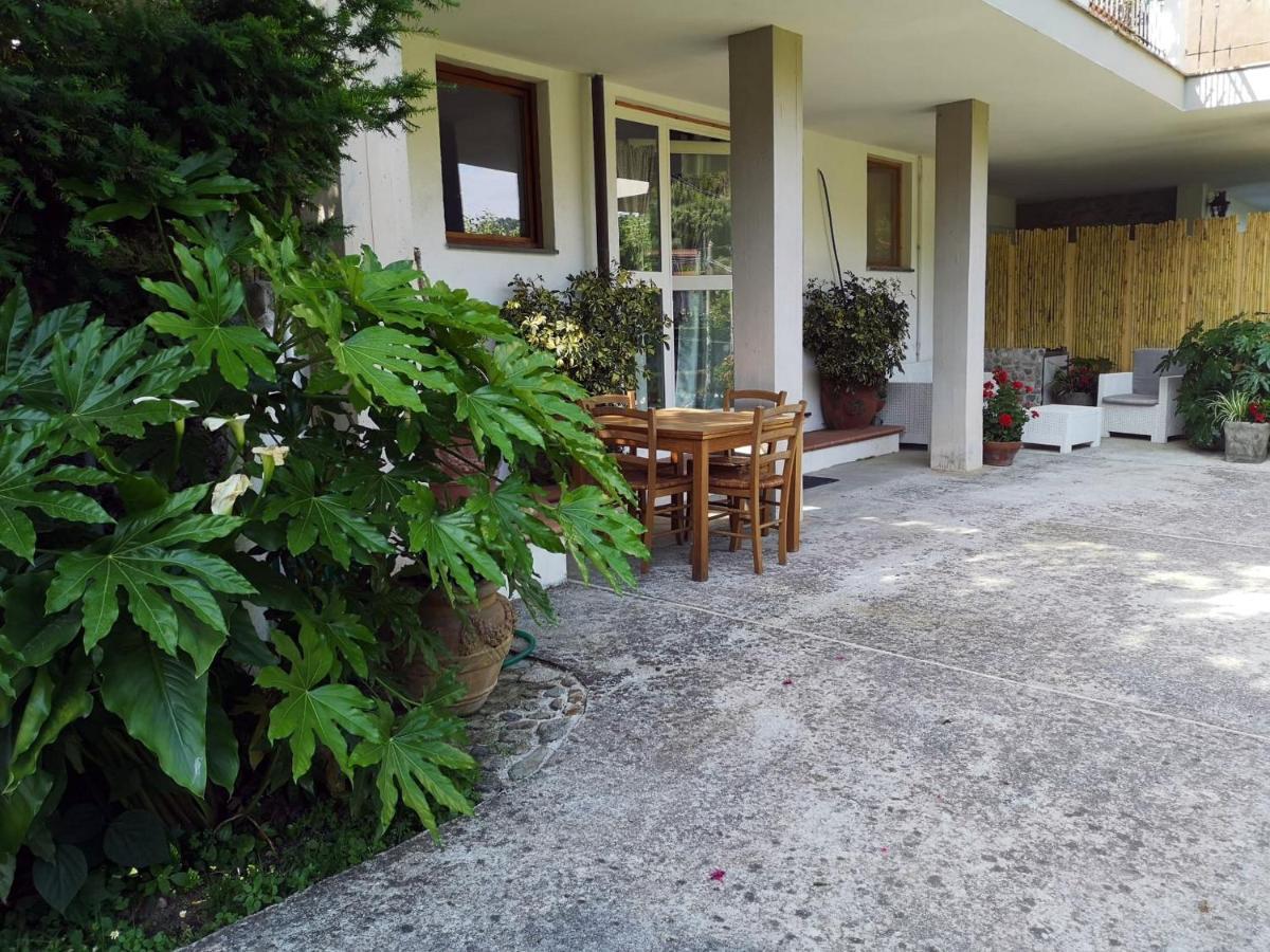 Parte Di Casa Con Giardino E Piscina Villa Pietrasanta Exteriör bild