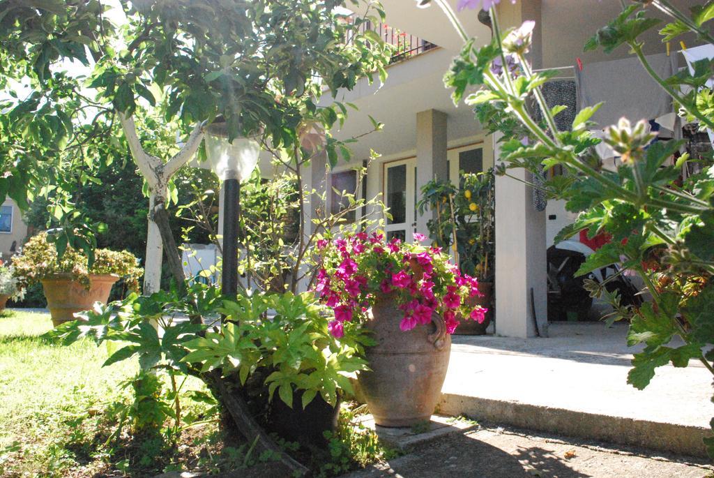 Parte Di Casa Con Giardino E Piscina Villa Pietrasanta Exteriör bild